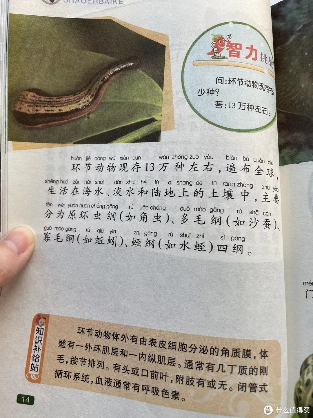 中国孩子的百科全书之环节动物