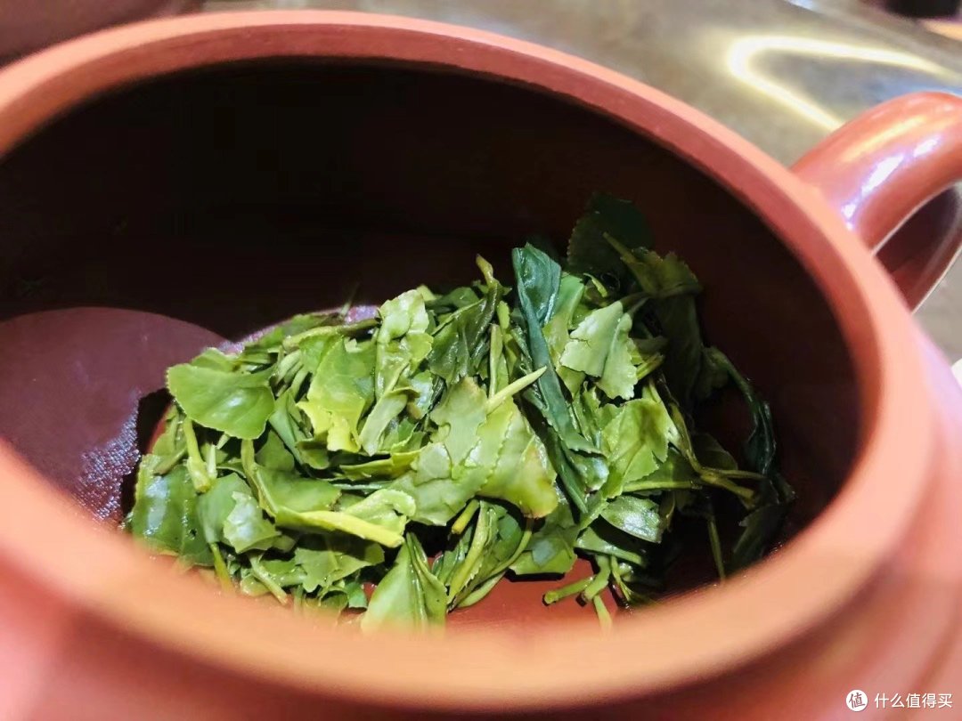 春天里的第一杯绿茶,你喝了吗?