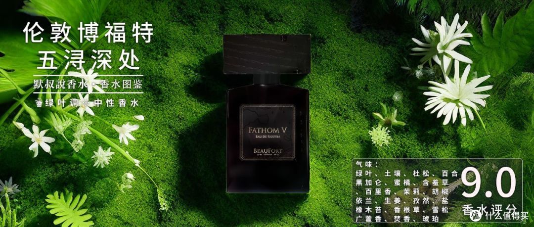 「绿植系」香水合辑·品遍万物之绿