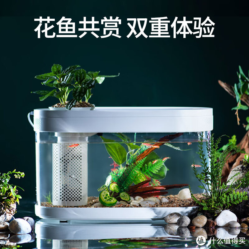 # 面法几同桌面生态懒人鱼缸：开启智能养鱼新时代！