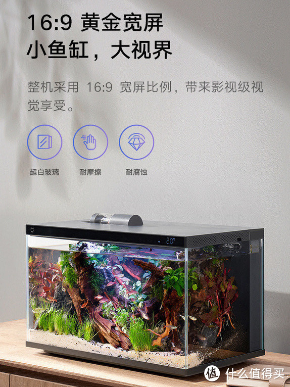 米家智能鱼缸：让养鱼变得简单又智能