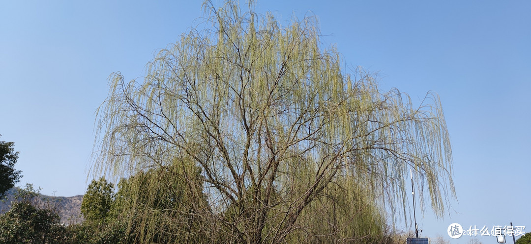 春天，自然是要在山水间游荡，感受春的气息！