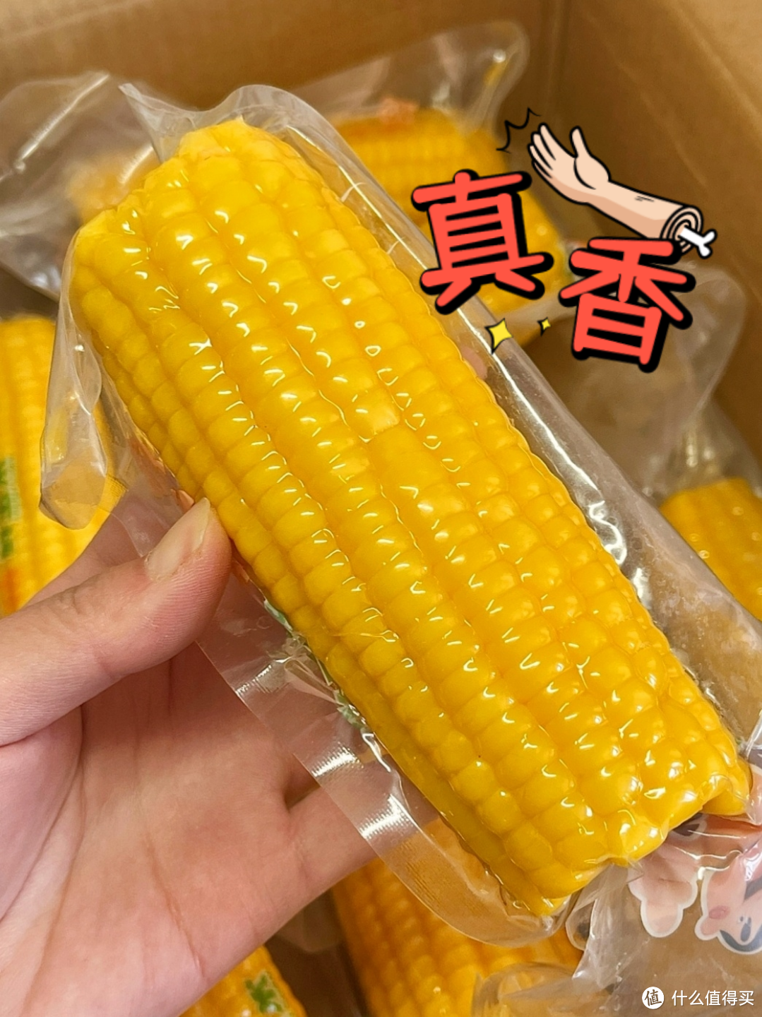 🌽傻小胖的甜糯玉米，早餐好选择！