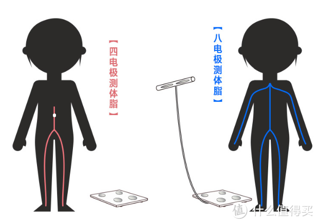 减脂增肌离不开一把好秤！体脂秤怎么选？阔以试试~云康宝八电极体脂秤