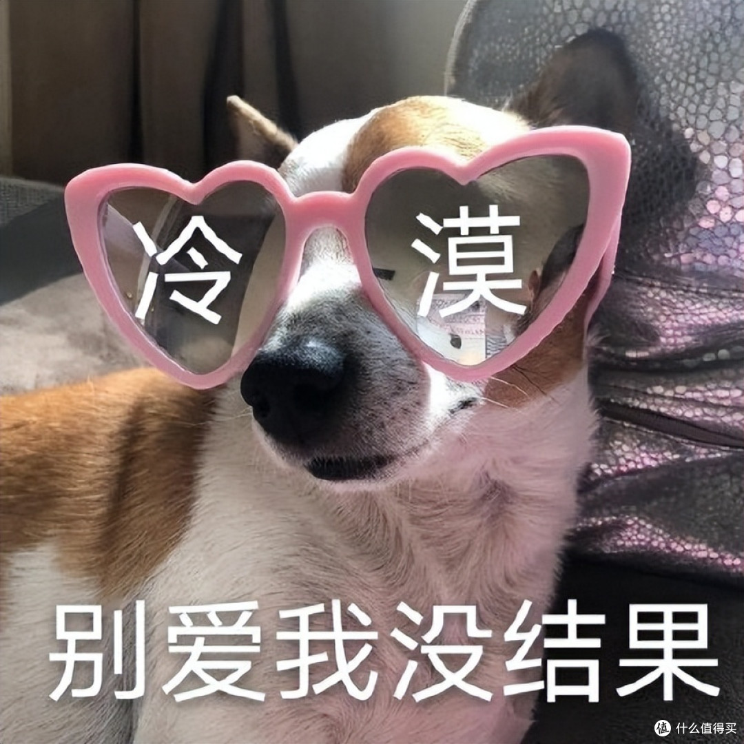 这些狗狗可不是“白眼狼”,一旦养了,心里只有你!
