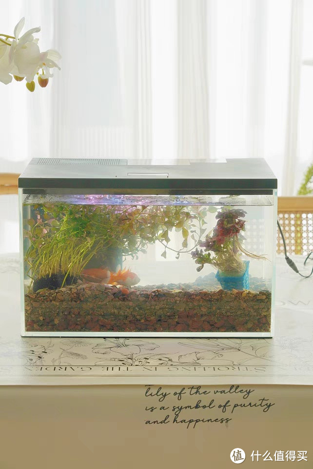 宠小到大智能鱼缸：打造你的家居生态乐园！