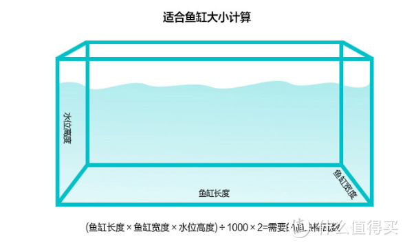 养鱼新手必看！水族箱必备神器大盘点