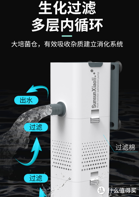 水族箱升级指南：这些神器让你的鱼缸焕然一新！