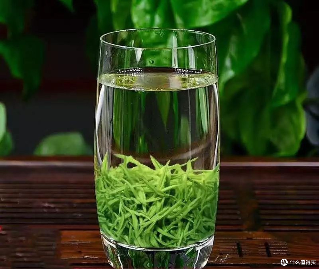 信阳毛尖哪个牌子好？信阳毛尖品牌排行榜轻松选购正宗好茶