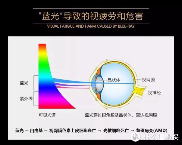 开学季|娃离不开电子产品+过度用眼怎么办？防蓝光+对抗疲劳，还得是专业的【inne蓝光盾】!