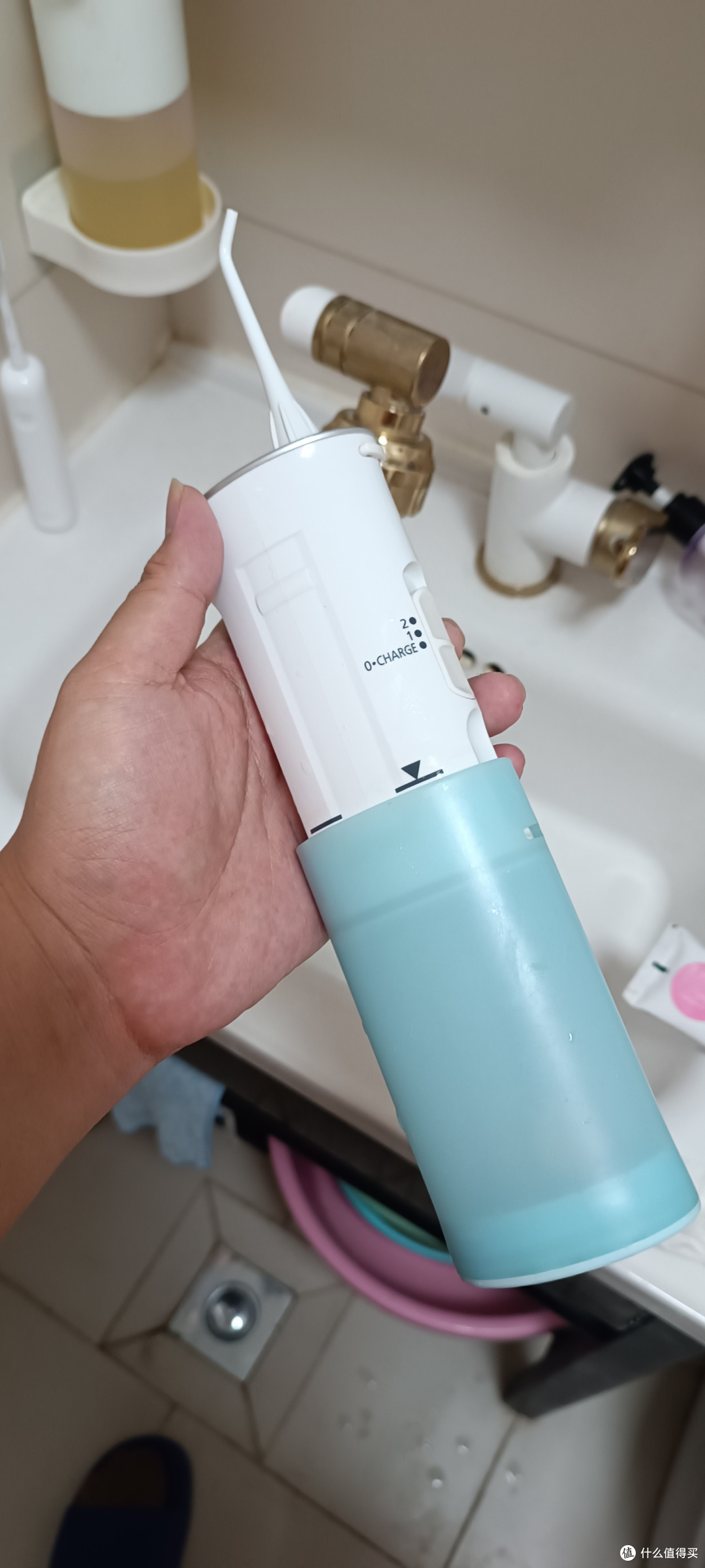 完全体的样子