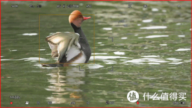 更轻、更强!适马500mm F5.6 DG DN OS | Sports测评