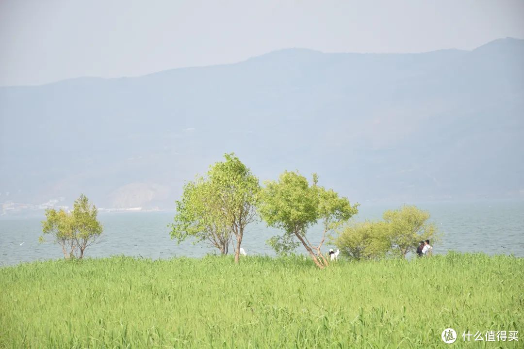 怎么会有这么适合发呆的城市，山海都美到骨子里