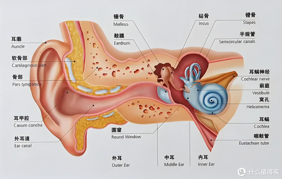 南卡NEO2骨传导蓝牙耳机，旗舰品质的再升级！