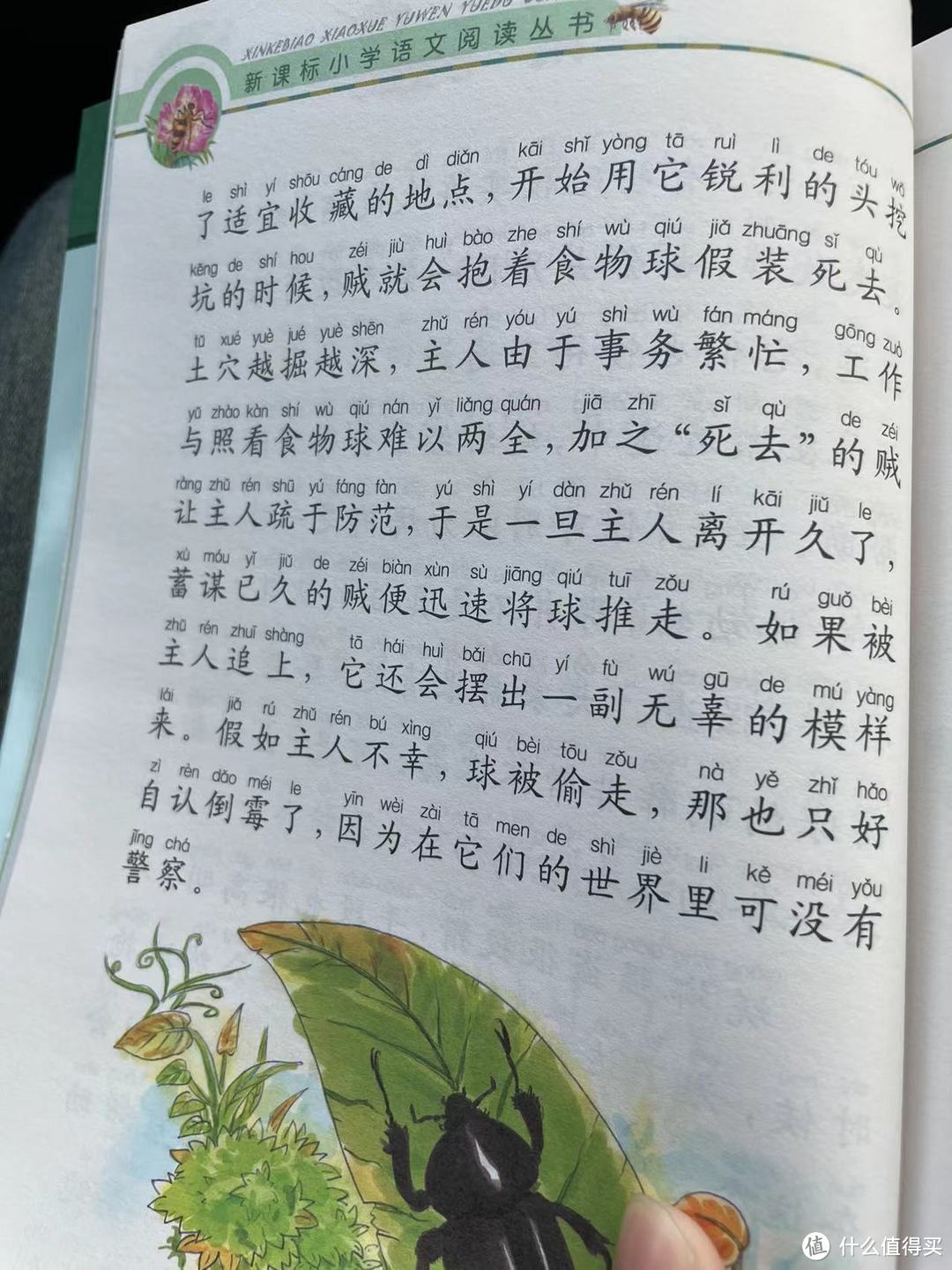 和娃一起读《昆虫记》之蜣 螂