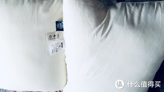 卡丝迪尔大豆抗菌枕头——守护健康睡眠的贴心之选