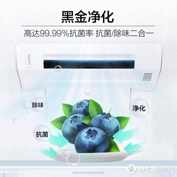 海尔（Haier）465升十字对开电冰箱，一级能效，变频节能，超薄嵌入式，超大容量BCD-465WGHTDE9S9