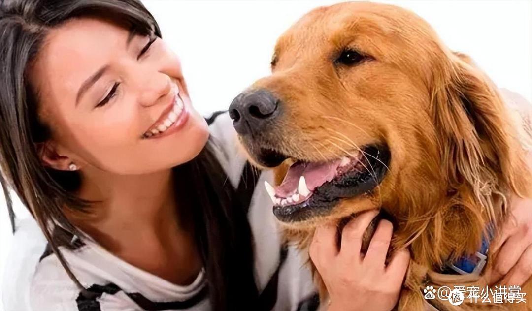 用这9种方式“撸狗”，让它彻底爱上你！