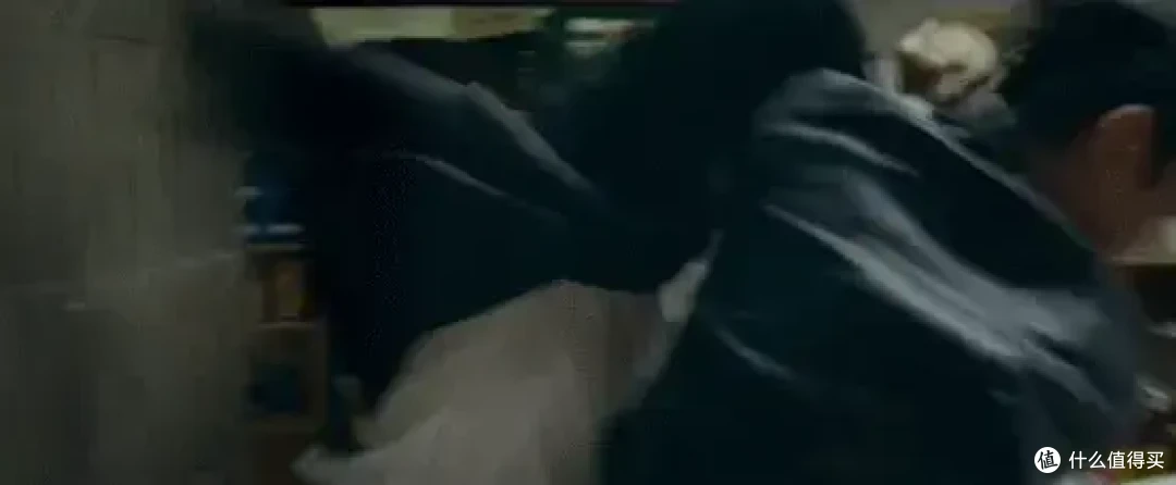 阮经天的“豪宅”火了,一屋两猫,无拘无束,旅游健身,乐在其中