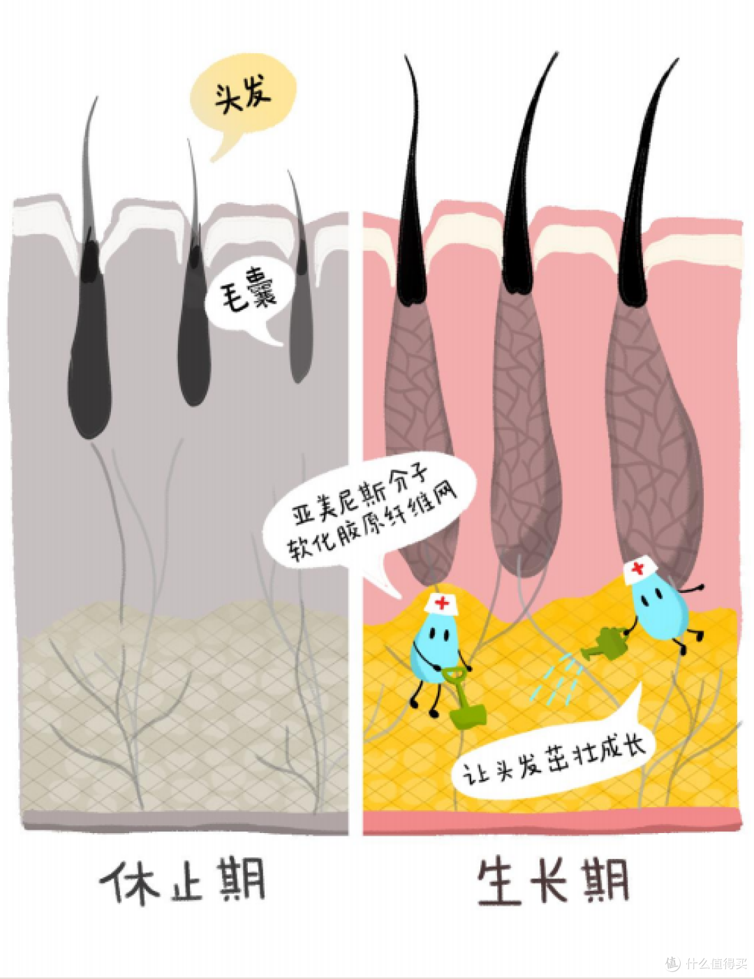 年轻人应该如何预防脱发?