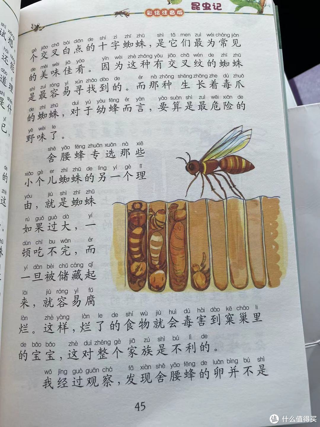 舍腰蜂房子图片