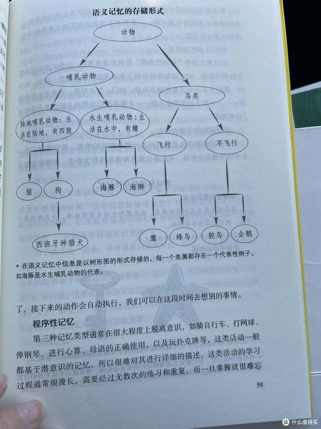 让记忆和学习变得轻而易举之长期记忆