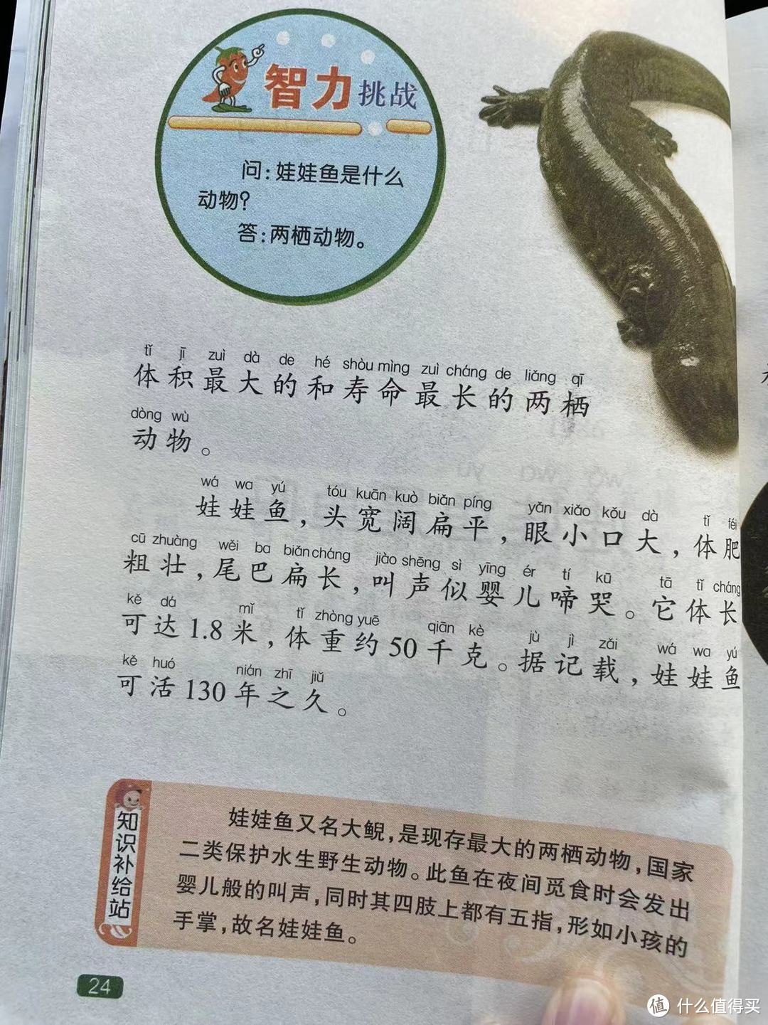 中国孩子的百科全书之娃娃鱼是鱼吗