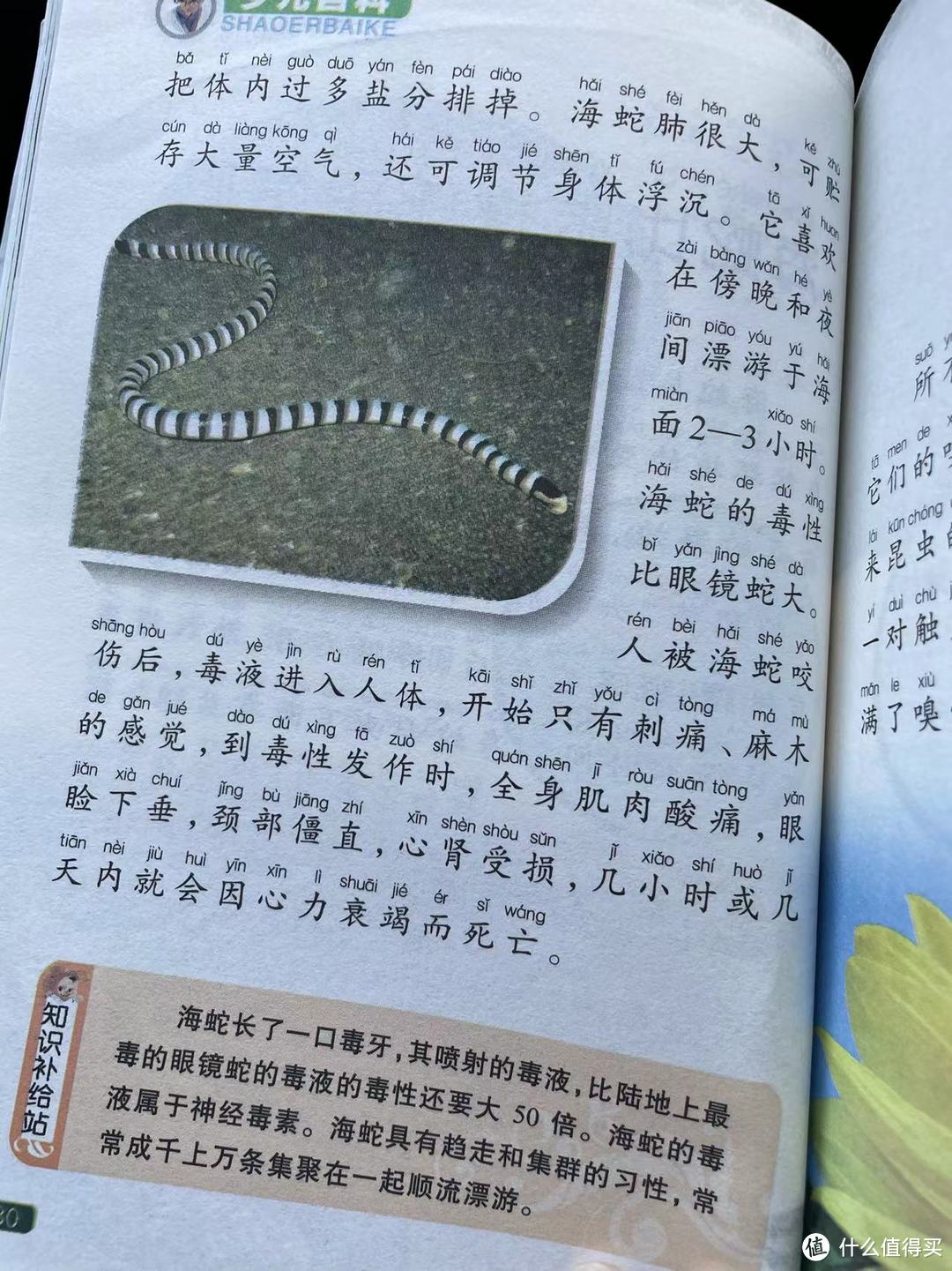 中国孩子的百科全书之海蛇比眼镜蛇更毒吗