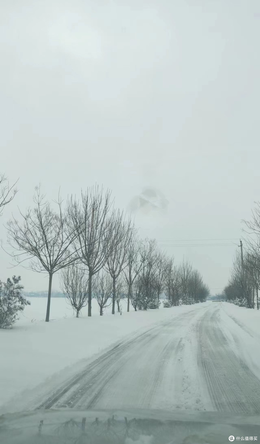 瑞雪兆丰年-------雪后美景小记