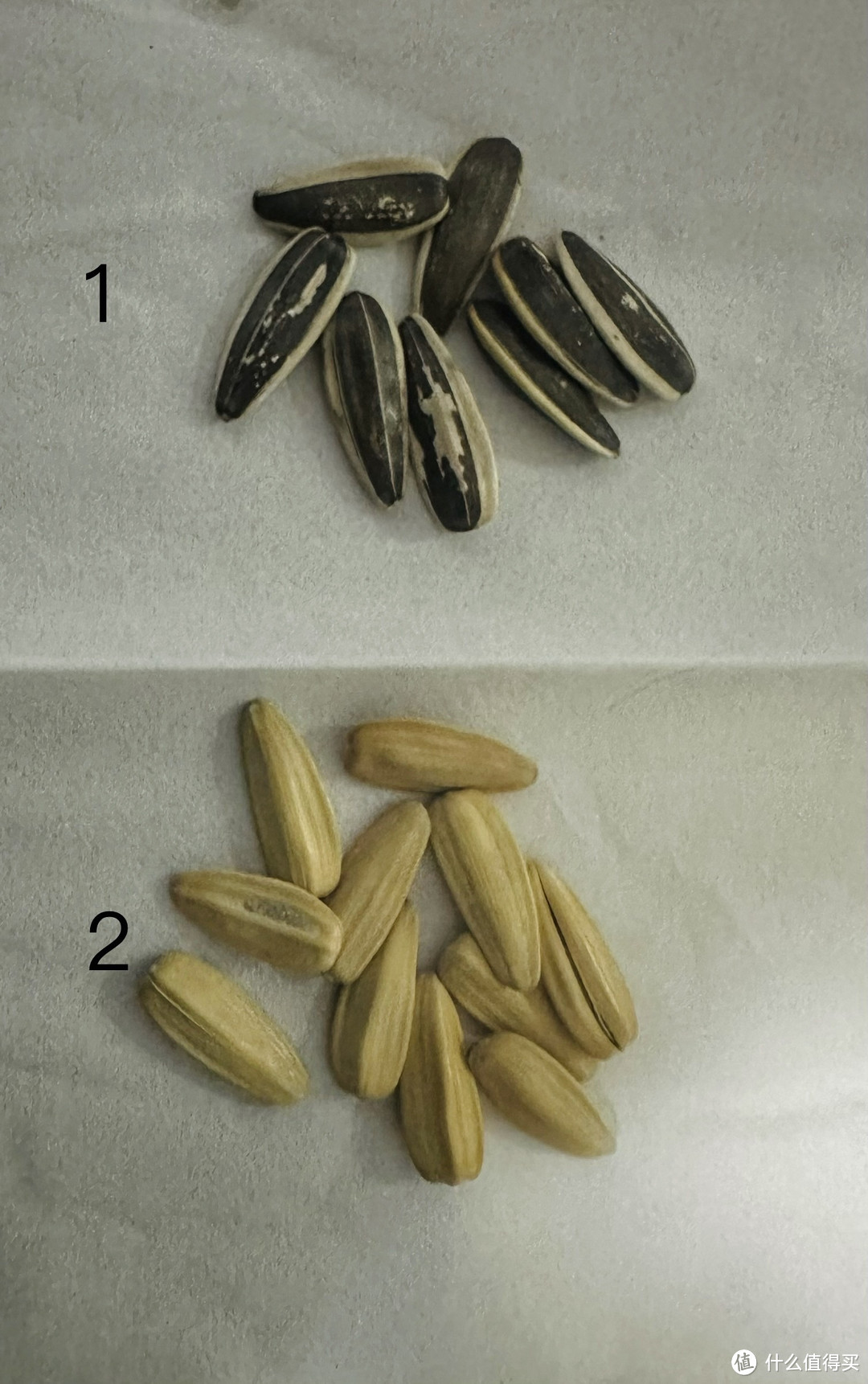 瓜子外观对比