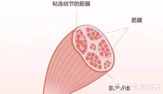 筋膜枪的优势汇总：千万警惕三大副作用缺点