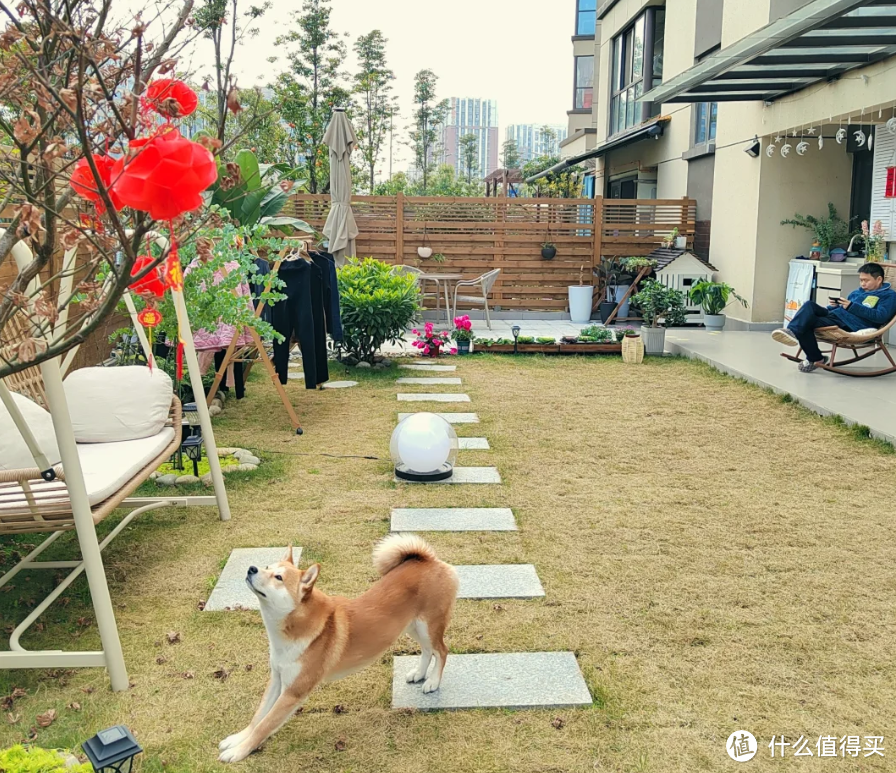 不听劝，买了“一楼带院子”的房子，入住2年，越看越喜欢