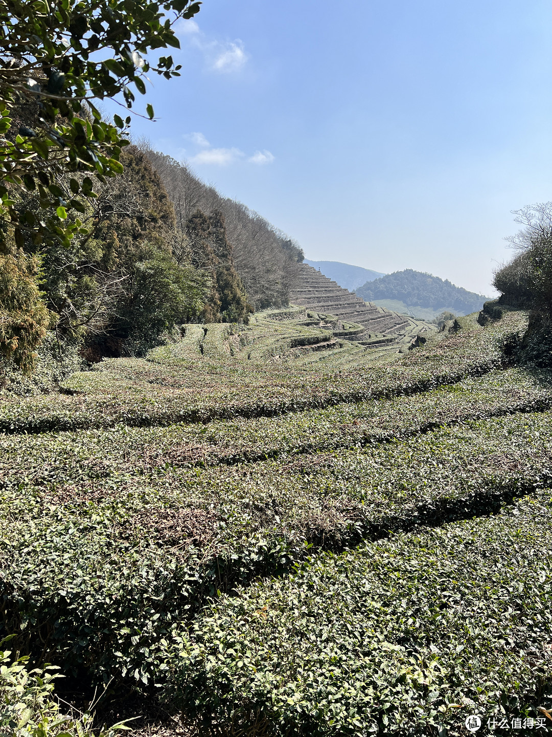 好春光,一定要出去踏青——宁波福泉山登山步道