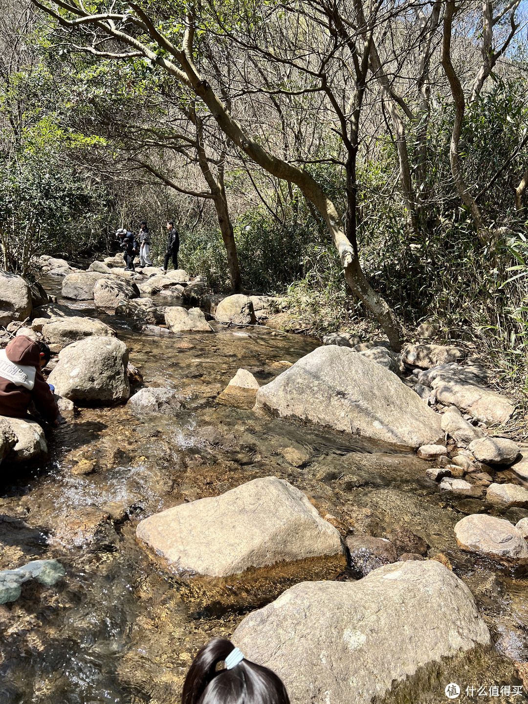 好春光,一定要出去踏青——宁波福泉山登山步道