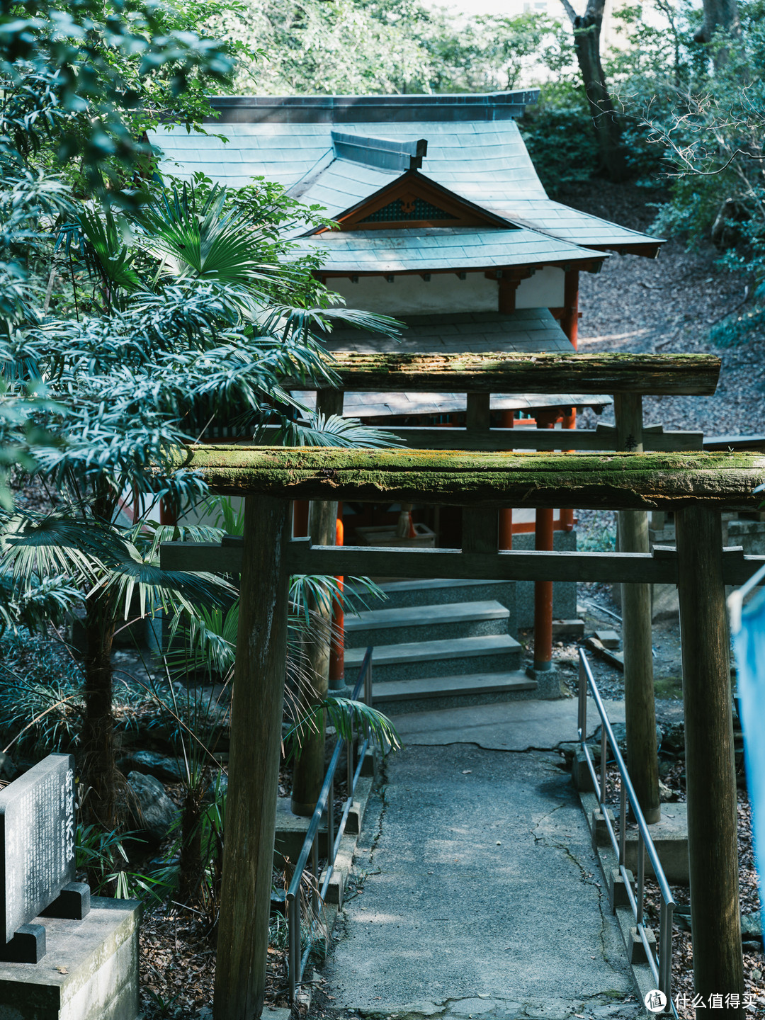 游篇十九2024春节日本之行day2h2和歌山一日游之东照宫和歌山城