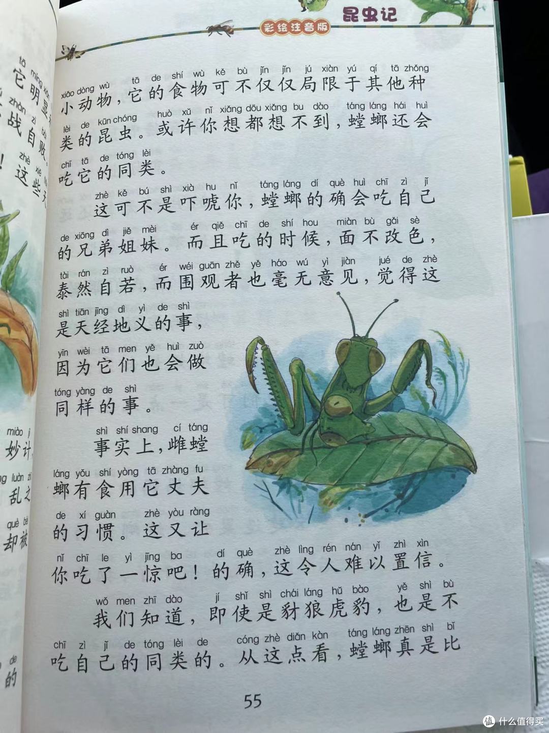 和娃一起读昆虫记之螳螂