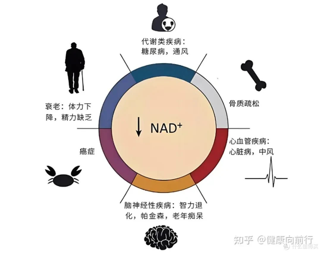 为什么我这么累?揭示疲劳真相:七大健康隐患,你中招了吗