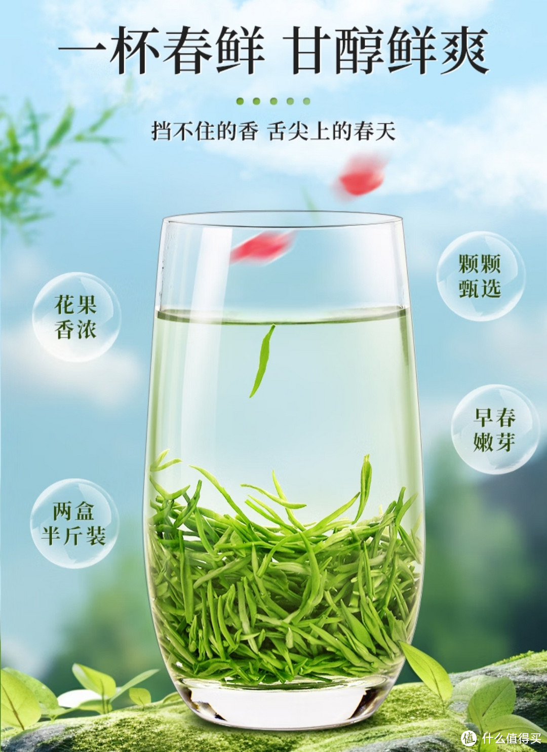 一杯香茶叶绿茶明前碧螺春嫩芽2023新茶春茶散装礼盒自己喝送礼品袋250g