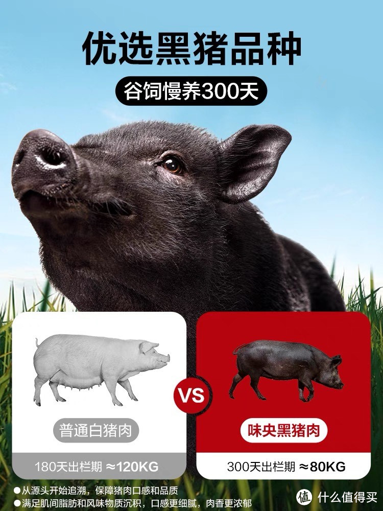 黑猪肉馅儿，嵊州老面小笼包，美味挡不住！