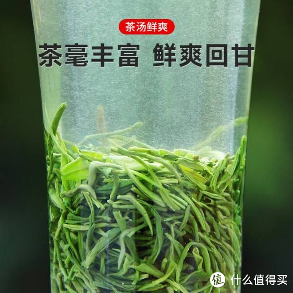 乐品乐茶绿茶毛尖茶叶 特级250g2023 明前礼袋装春茶新茶嫩芽茶叶自己喝