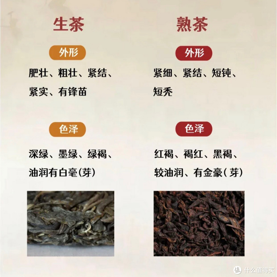 一文讲清楚	普洱生茶与熟茶的区别	