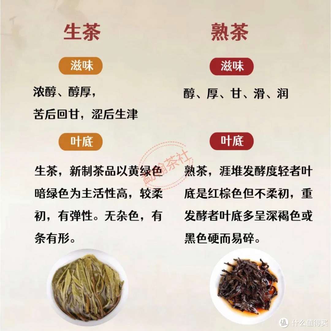 一文讲清楚	普洱生茶与熟茶的区别	