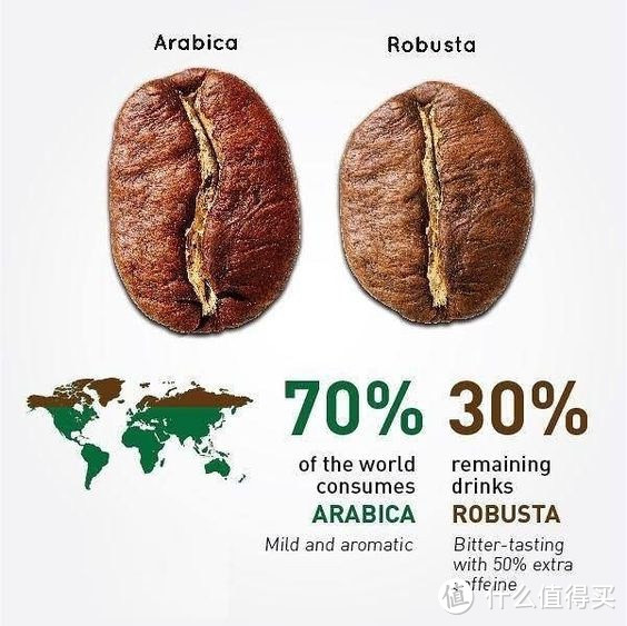 两大主流的咖啡豆品种：Arabica（阿拉比卡） VS Robusita（罗布斯塔）