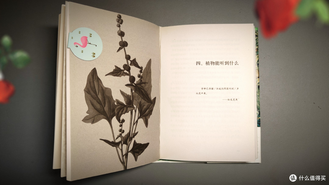 树绿花开,植物的智商不可小觑