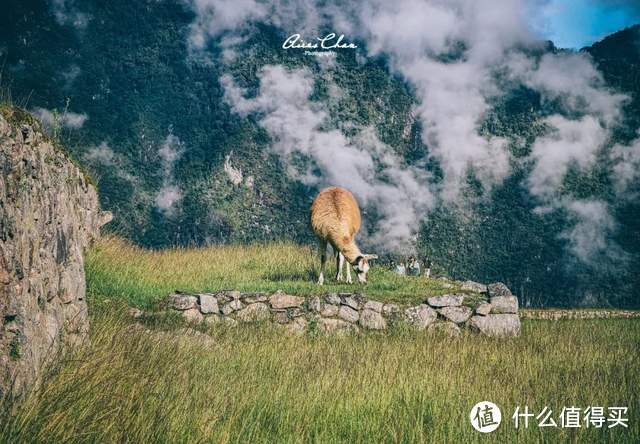 马丘比丘的保姆级攻略,看这篇就够了