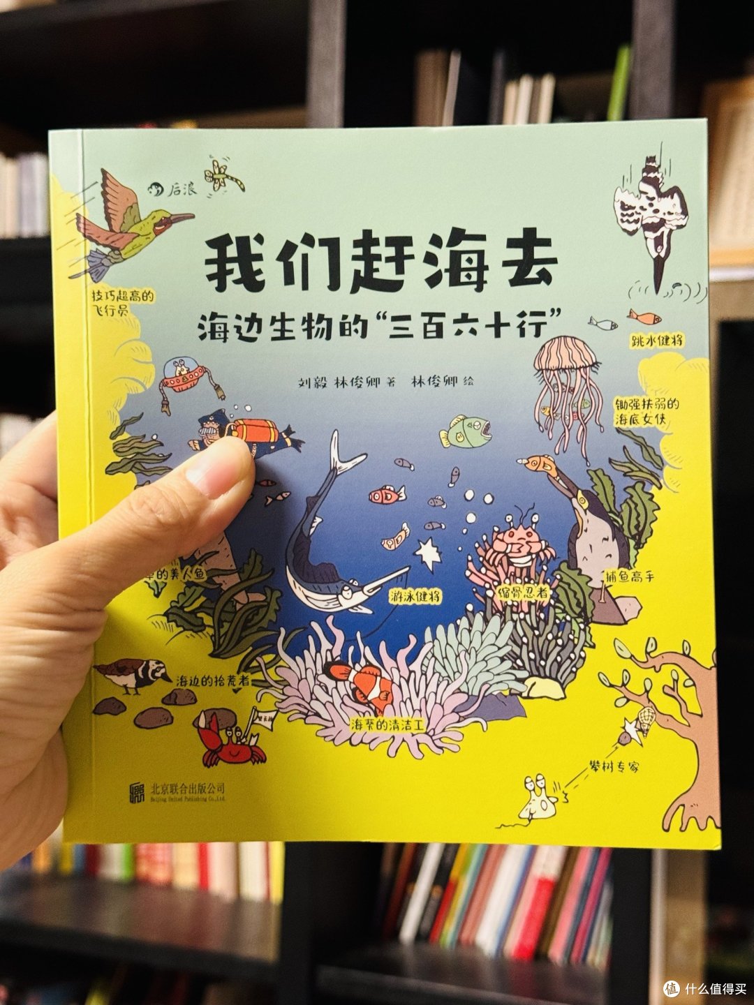 手不释卷的科普漫画《我们赶海去》