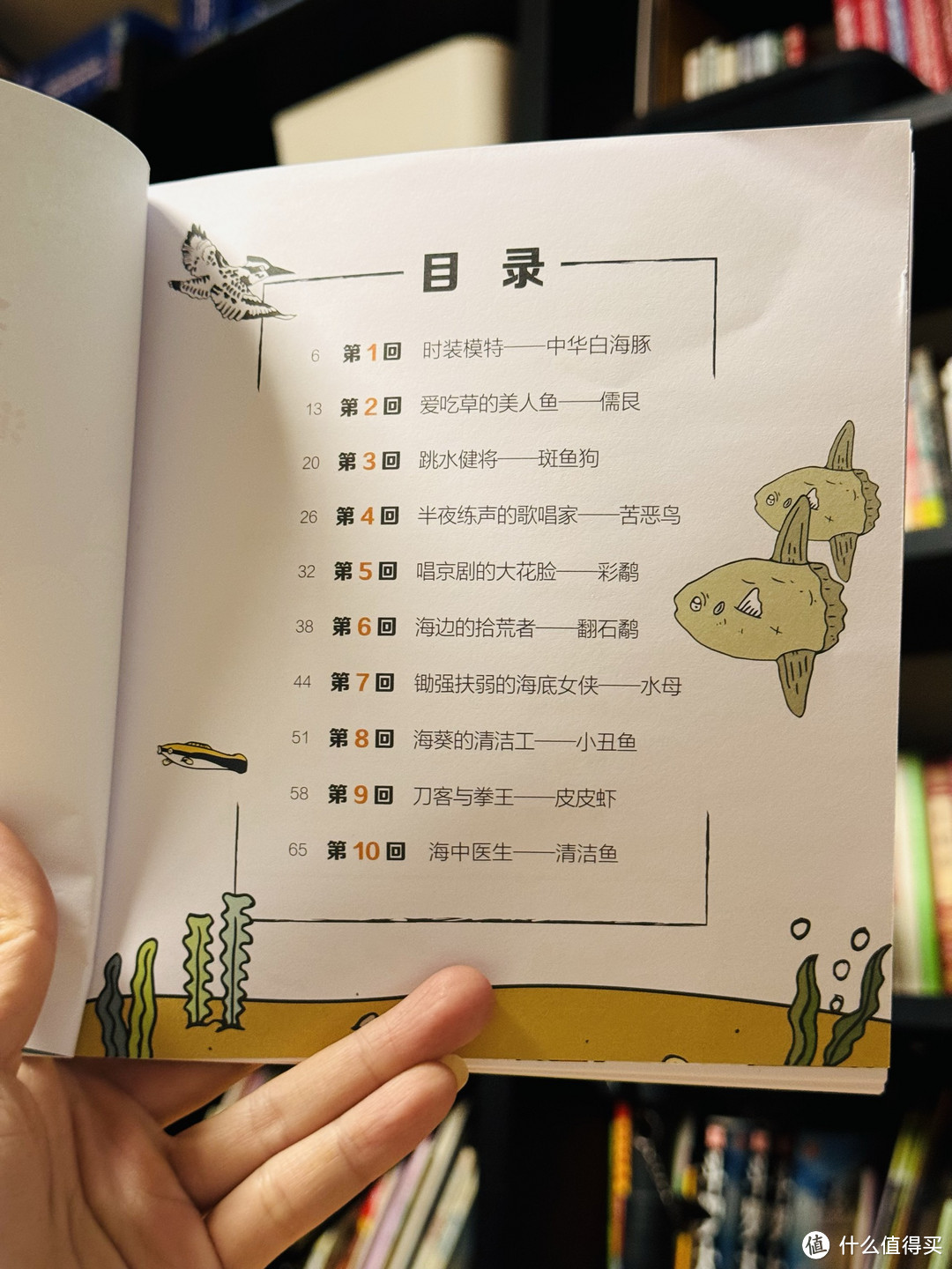 手不释卷的科普漫画《我们赶海去》