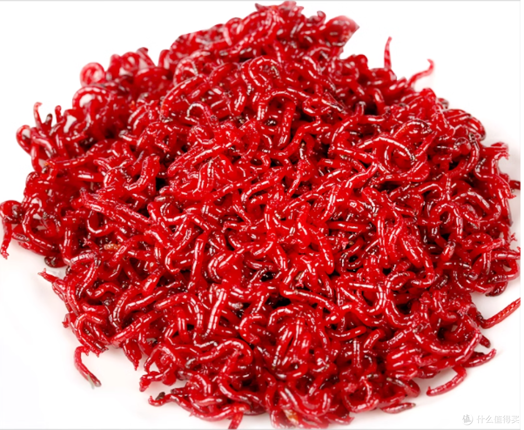 六角恐龙饲养秘籍!新手必备指南