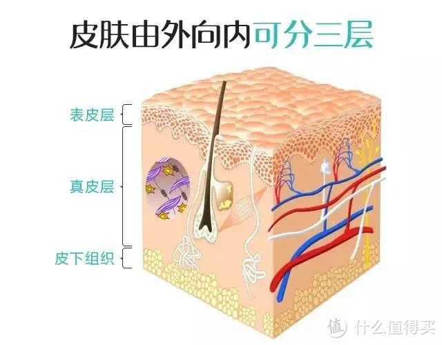 医美科普 | 水光针的作用与功效