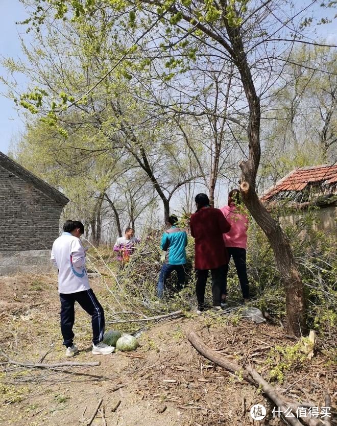 “春吃芽，鲜掉牙”，鲜香又嫩，既顺应时节，又鼓励生发之气，倍益健康